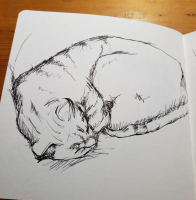 2022 Daily Sketches
