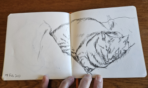 2023 Cat Sketches