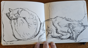 2023 Double Spread