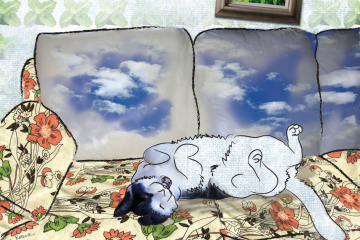 dreaming-of-catnip