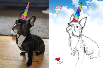 pug-unicorn-roque-pic