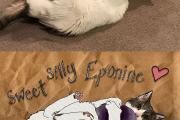 EponineArt
