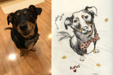 Rufus-pupper