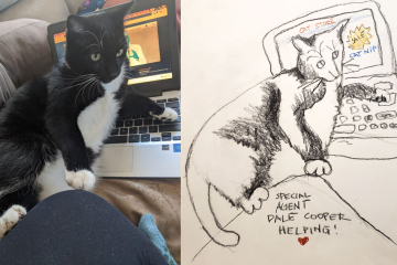 agent-cooper-kitty