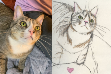 roque-kitty-art