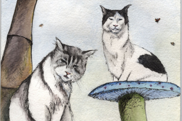 pau-cau-judging-alice