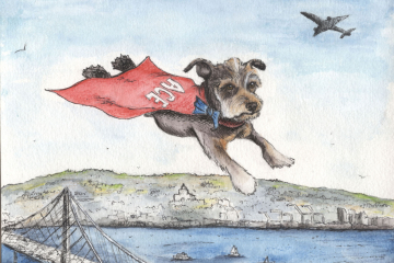 superdog-ace